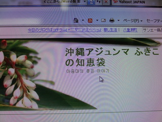 てんこ盛りでも　ケンチャナ（大丈夫）　（＊＾＿＾＊）