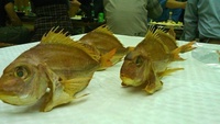 鯛の燻製 2010/12/12 22:22:44