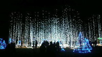 ありがとう2010 ☆ 2010/12/31 17:34:54