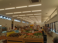 【羽地の駅　自然体験＆観光案内デスク　きじむなーくらぶオープン☆】 2015/12/11 14:38:23