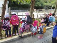 Field Trip to the zoo!!