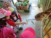 Field Trip to the zoo!!