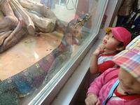 Field Trip to the zoo!!
