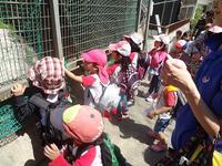 Field Trip to the zoo!!