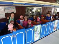 Field Trip to the zoo!!