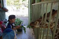 Field Trip to the zoo!!