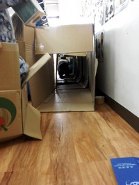 Cardboard Box Play 2016/02/29 18:21:28
