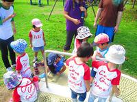 Park Day