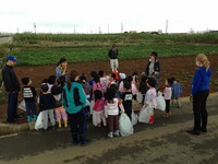 potato picking 2014/12/04 18:02:57
