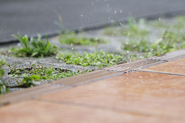 雨