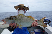 6/2ウメイロ五目釣り 2018/08/18 12:01:00