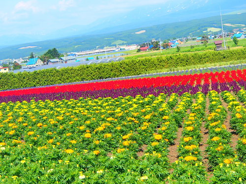 北海道旅行♪第２弾