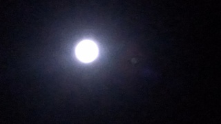 満月がとてもきれいだから