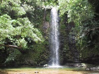 大人気♪沖縄リバートレッキングと滝つぼ遊び開催中！