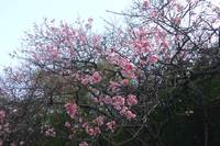 比地大滝　On '12.01.29 2012/01/30 13:16:03