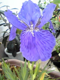 2011年2月3日の感想　投稿 2011/02/03 08:00:00