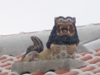 シーサー gon  gon 2011/05/21 18:12:58