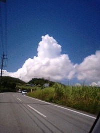 今日は休日 2008/09/21 13:31:19
