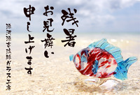 残暑お見舞い申し上げます