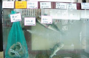 内地の魚専門店「大和」オープン