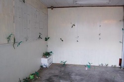 農連市場×アート