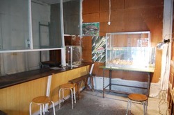 農連市場×アート
