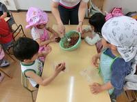 Chocolate birds nest