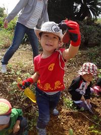 Potato Picking　2012