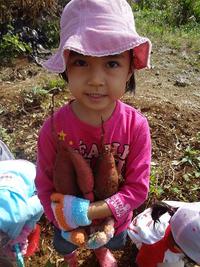 Potato Picking　2012