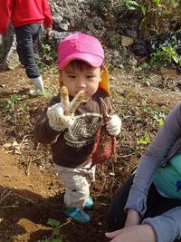 Potato Picking　2012