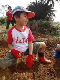 Potato Picking　2012