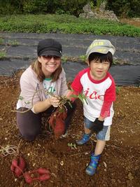 Potato Picking　2012