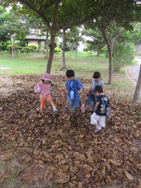 モーニングキッズ★公園遊び♪