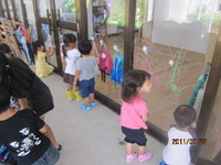 window drawing