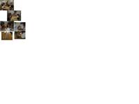 Independence day 2011/07/09 14:14:07