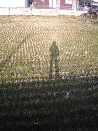 理想♪♪ 2009/03/26 23:35:57
