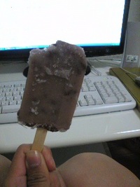 5月1日の記事 2009/05/02 00:13:46