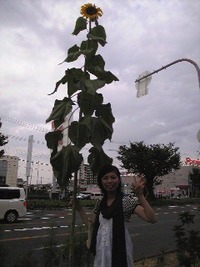 ビッグサイズ 2009/09/04 17:50:48