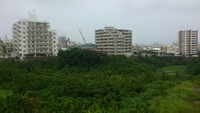 ５月１３日オープン！ 2013/04/25 11:41:49
