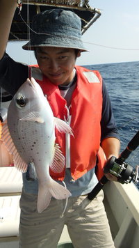 絶好調 2014/10/29 13:33:22