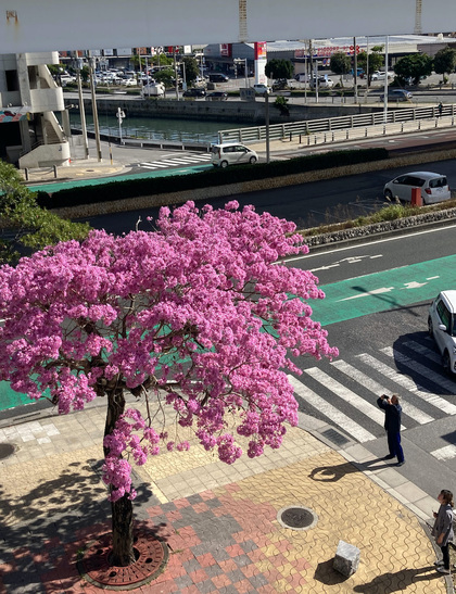 今日の沖縄の気温は23℃♪