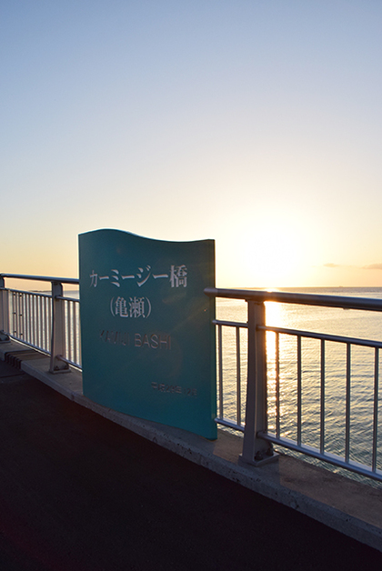 ウォーキングコース