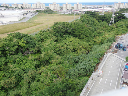 浦添西原線（港川道路）