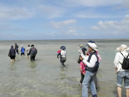 海の観察会２