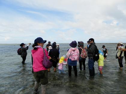 海の観察会２