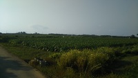 いかがお過ごしでしょうか・・？ 2020/05/11 12:49:10