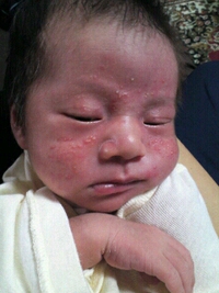 母乳育児。 2013/09/06 17:18:36
