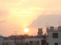 2月3日の記事 2013/02/03 09:59:35