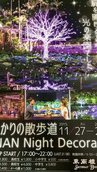 メリークリスマス✨東南植物楽園のひかりの散歩道にて天使のメッセージをお伝えしてます☆*:.｡. 2015/12/25 17:33:58