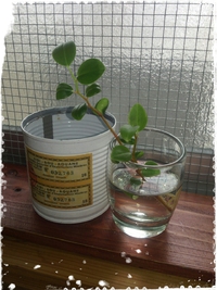 休業のお知らせ☆